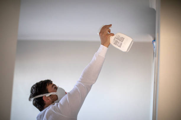Certified Mold Removal in Piedmont, MO